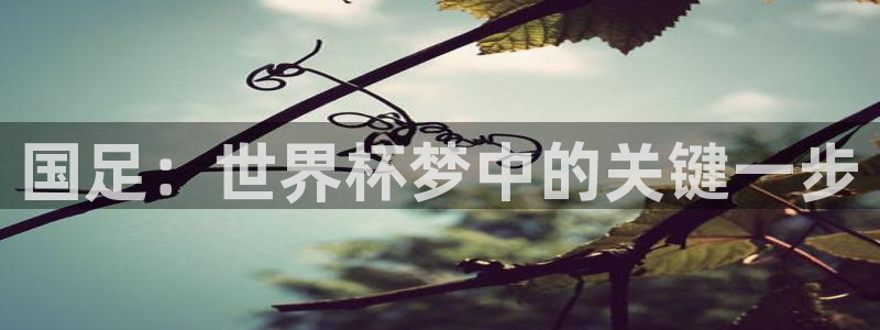 世界杯亚洲区预选赛赛程：国足：世界杯梦中的关键一步