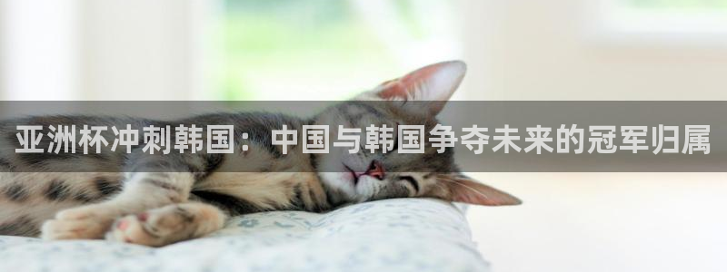 世界杯足球赛2026赛程时间：亚洲杯冲刺韩国：中国与韩国争夺未来的冠军归属