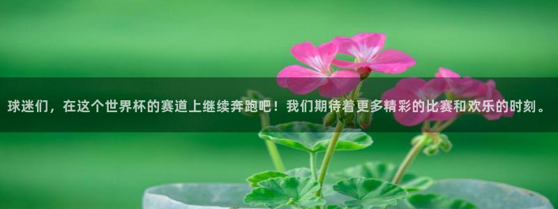 今年世界杯：球迷们，在这个世界杯的赛道上继续奔跑吧！我们期待着更多精彩的比赛和欢乐的时刻。