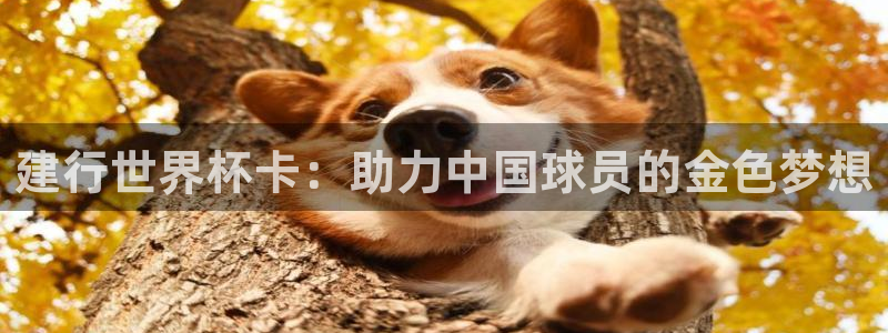 世界杯预选赛欧洲赛区赛程：建行世界杯卡：助力中国球员的金色梦想