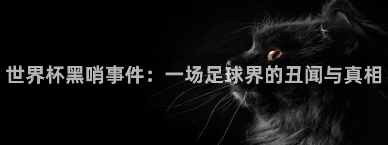 世界杯直播高清：世界杯黑哨事件：一场足球界的丑闻与真相