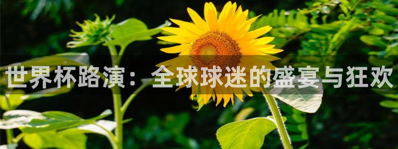 2026世界杯中国队：世界杯路演：全球球迷的盛宴与狂欢