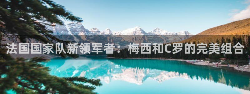 葡萄牙世界杯赛程：法国国家队新领军者：梅西和C罗的完美组合