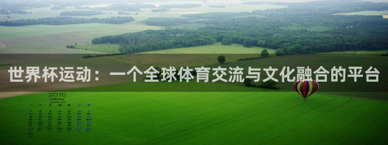 世界杯决赛直播：世界杯运动：一个全球体育交流与文化融合的平台