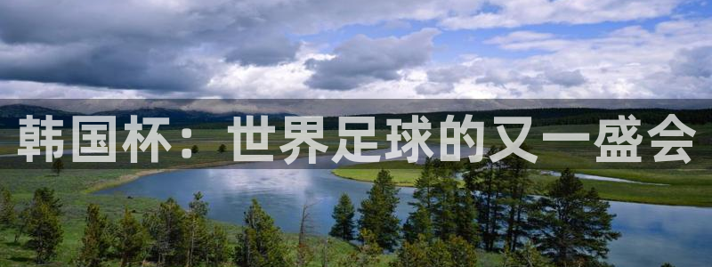 世界杯直播：韩国杯：世界足球的又一盛会
