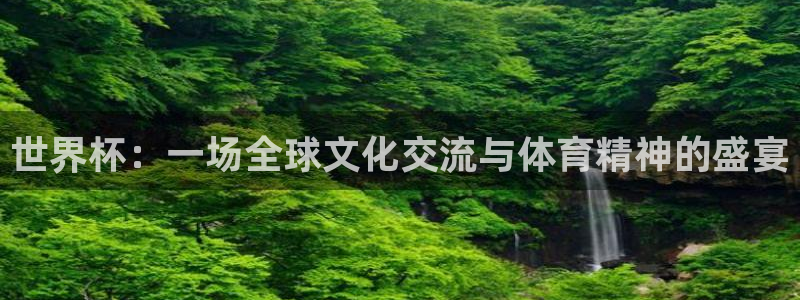 2006年世界杯：世界杯：一场全球文化交流与体育精神的盛宴