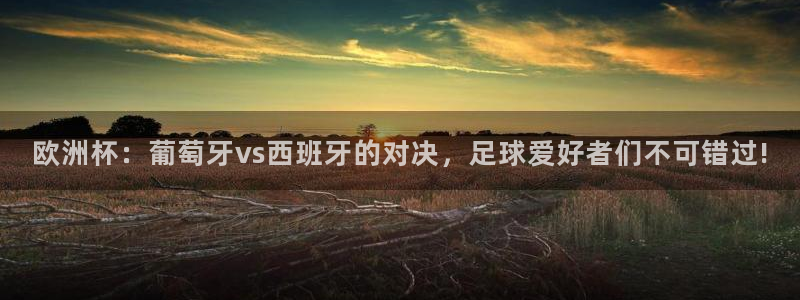 2026葡萄牙杯赛程表：欧洲杯：葡萄牙vs西班牙的对决，足球爱好者们不可错过!