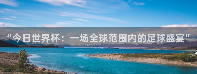 美洲杯直播：“今日世界杯：一场全球范围内的足球盛宴”