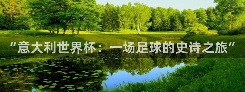 2026世界杯直播免费观看：“意大利世界杯：一场足球的史诗之旅”
